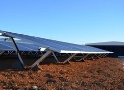 zentralsolar entwickelt Gründachsystem Vario-GreenLight