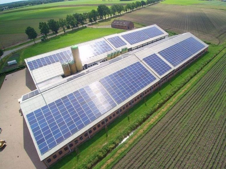 Photovoltaikanlagen auf einem Feld